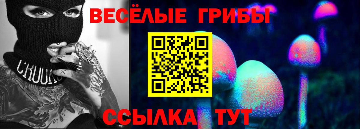 Ефремов  Галлюциногенные грибы Cubensis  сколько стоит  Вход с VPN 
